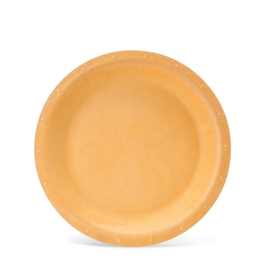 Medium Compostable Plate | 250 Count